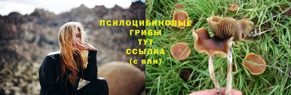PSILOCYBIN Краснослободск